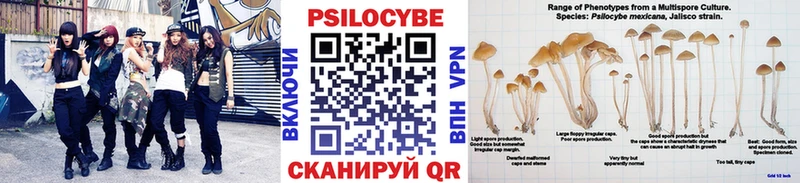 купить наркоту  Красноуральск  Галлюциногенные грибы Psilocybe 